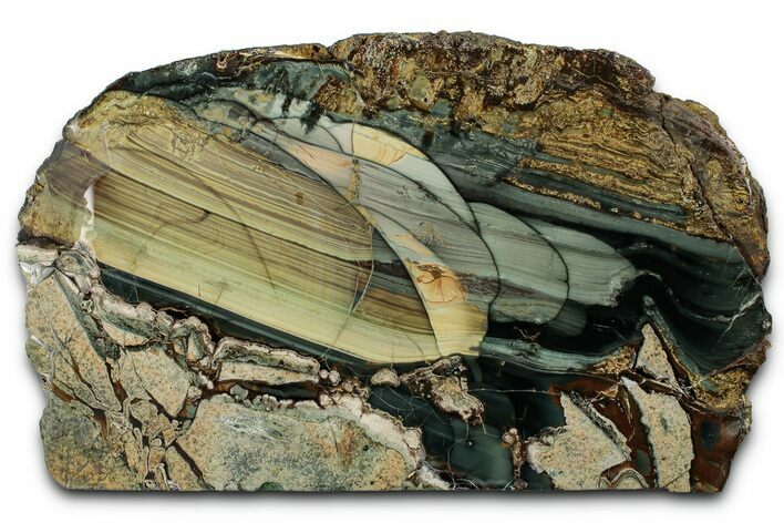 Polished Slab of Blue Mountain Jasper - Oregon #355270